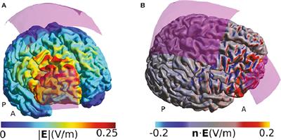 Can Transcranial Electrical Stimulation Localize Brain Function?